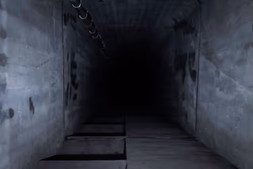 Item #82183435787039742687817407369025087190302189840279601090903984563839515492353 Media