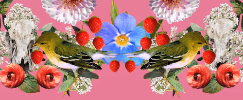 The Strawberry Thieves Banners