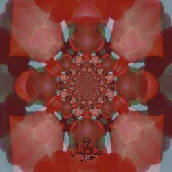 88