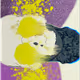 67528567516652047073396325307466499481554169865837444378326768352521367846913