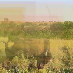 105089968166921690156624725616502706642431777719922472152070405768941779550209