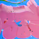 70895318512591495669931816542361287796948197765586493904582152160151190110209