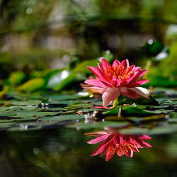 44024487065254451978341284796523308956461514990321328857199441192603810267137