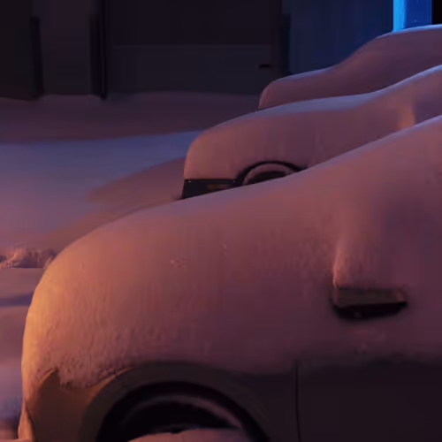 #3 - Cold Palms
