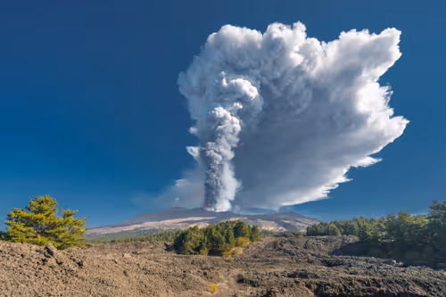 Item #29665505459776512063151611391641042533234332755845632920050768263062115844097 Media