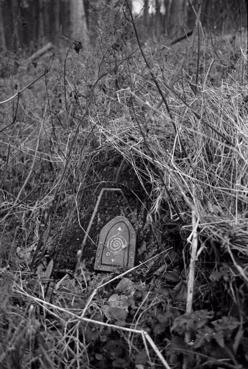 Item #106126435747361760478255485780352519166561968959024906964316827670622481940481 Media