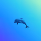 55870546378456050267108654131401960089085801246407189512163463583131792048129