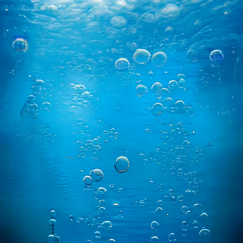 Item #61786089137353555764409111898924400556592261136209289474141333810692701028451 Media