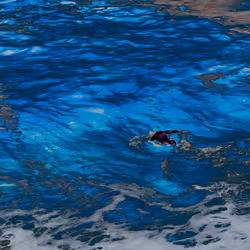 102243714408420291191728097608331749184015284507126464574242578576074577281025