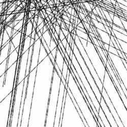 32907956060440542517560543683952278852437373378951189530453574904924824666113