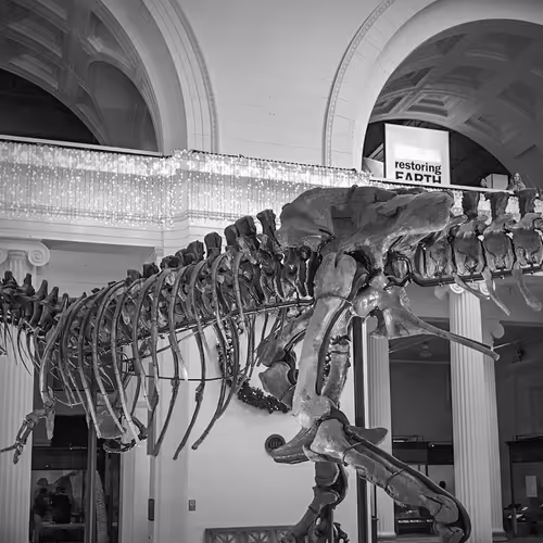 99900617224639477299163599069671603724831420251868583715018934625601696301057