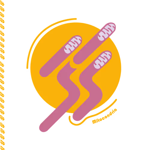 Item #28217420329942861487200254143315689988869562790284857015817128397497113247745 Media