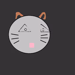 funny Face