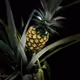 Pineapple Expression #2