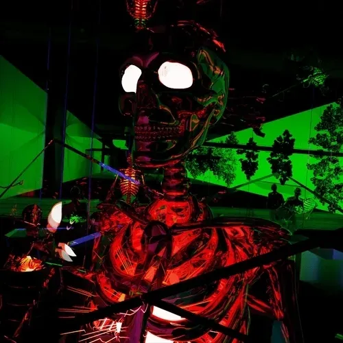 Editions by Moneyowns