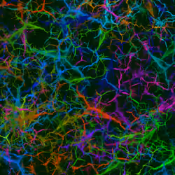 Psychedelic Neuron #0202
