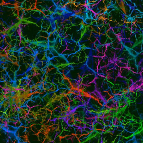 Item #50918555062582210159273167721725581522404743190091886750106034887191655612417 Media