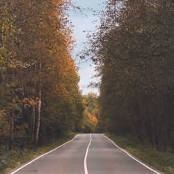 The Road to Autumn
