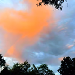 Cotton Candy 