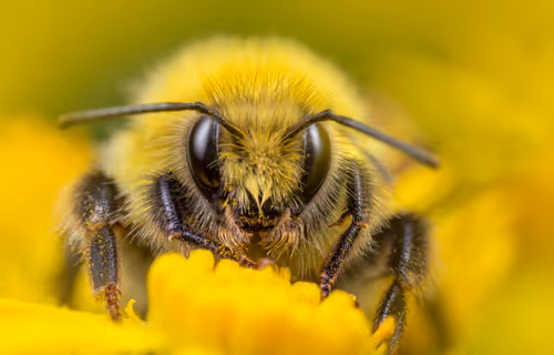 Item #11893448461842202167923125391346137616384292588036434545660885330846889803777 Media