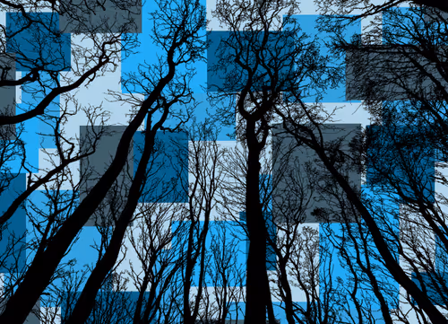 Item #98452652739139728385833177139880784176422420203299536309471942773412703764481 Media