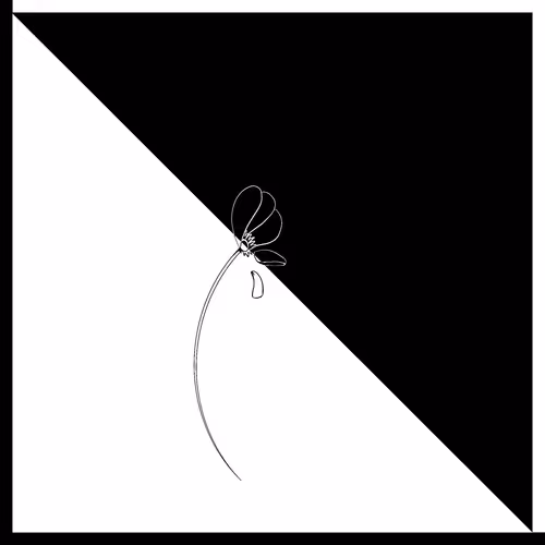 Item #115642348900939839605664246345985153537088577067861875053419533919649334820865 Media