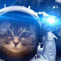 Catstronaut