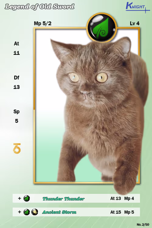 Item #18868404908201685494929167994437285822025107110366514433391783004386713665537 Media