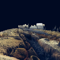 Dreamland #012