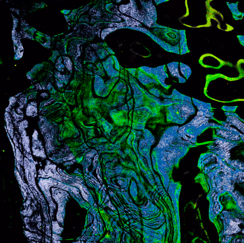 Item #46944938960673813338886078484753725649704761044692071067945504984808724365313 Media