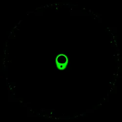 51929734946411346289540790635765095060363125039145709683616697196939636113409