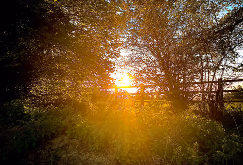 Item #3545434364027388159524564873243937151540135402704887169129841892356897374209 Media