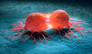 Item #12978132005591745991812687353079623790872519618552894336914611526854632275969 Media