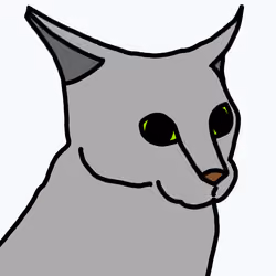 69865817798373419317261219993309928330687146940544398708959733667962499891201