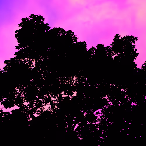 Item #35965218379738729691291467168286792303482134167127854404987491580088319737857 Media