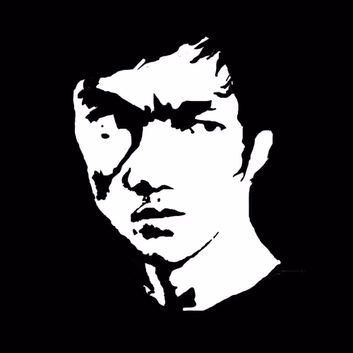 Bruce Lee : The Fighter