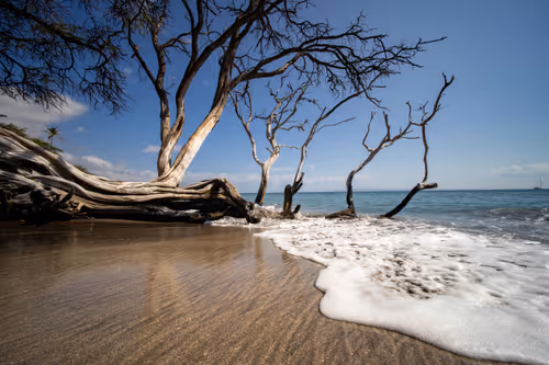 Item #38069088421557280780080489884356511775313840977413642295707171811640670683137 Media