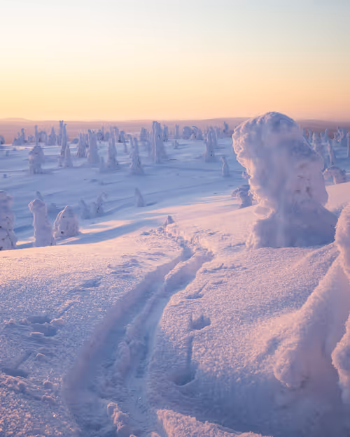 Item #85137439897558800446681939847979956921112818192745958846838338964457015738369 Media