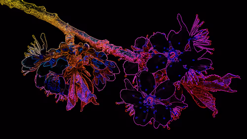 Item #44700177556079130579027571864789921161109844202338692374214745872261871304714 Media