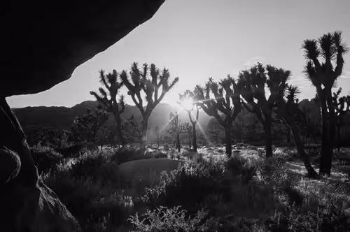 Item #43855545179559374949578343538533146521052449225092810466716167746345284665345 Media