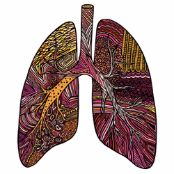 Lung #63