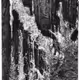 Untitled Collection #21379421