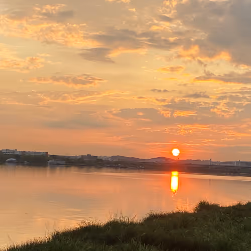 Untitled Collection #83294392