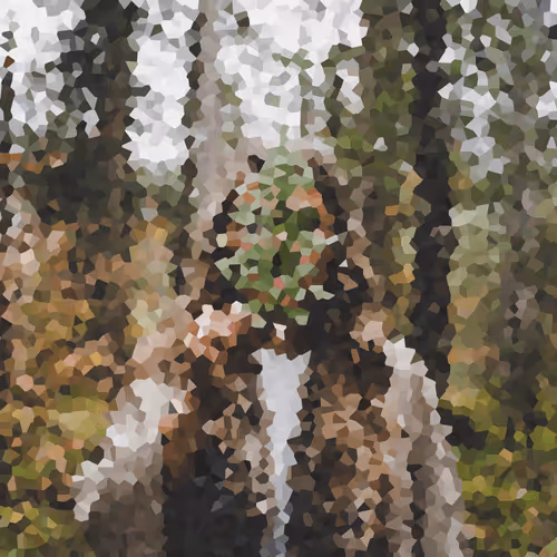 Pixelated MetaScapes