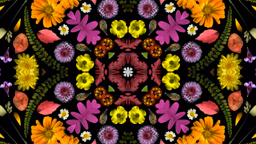 Item #114567358423953626281537788403819853891642458412316118477611090111910345965569 Media