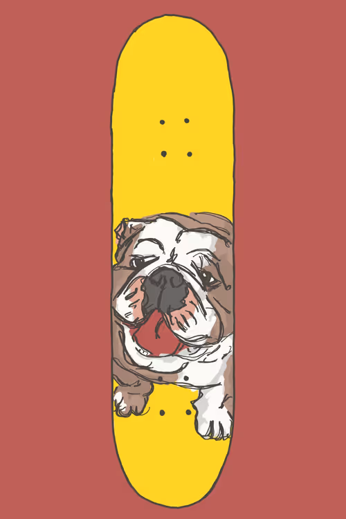 Item #46553540381422157109290729808278113358208817297793533282579445991173804523521 Media