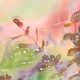 46925474086027531850679866320055329082558757891557446162220362567409171693569