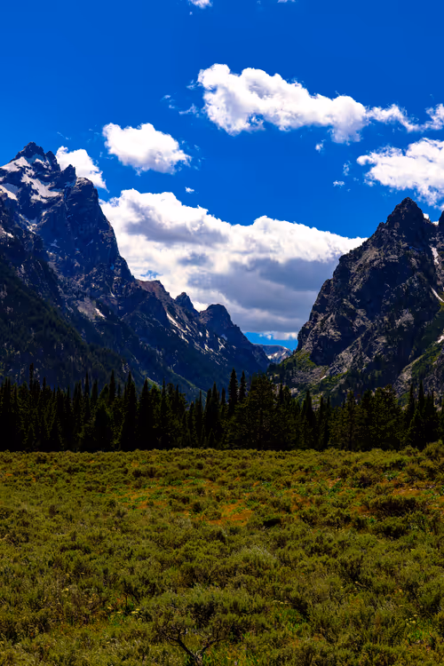 Item #15297189145007819332952477315735476032529554073284948694775240684937433579521 Media