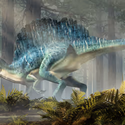 15201862250514145958676777466825728141953005429687029988591517066698774544385