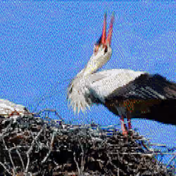ASCII Animals - Stork